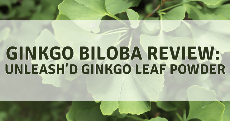 Ginkgo-Biloba-review Ginkgo Biloba Review